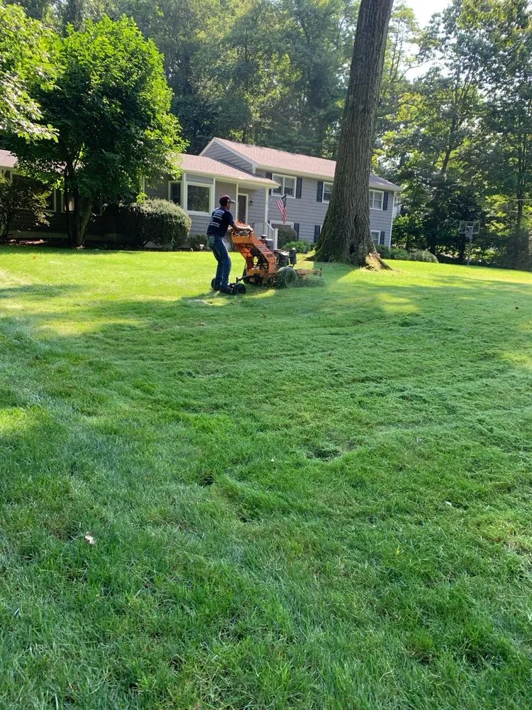 Reliable landscape design in Stamford, CT by Payes Landscaping And Service