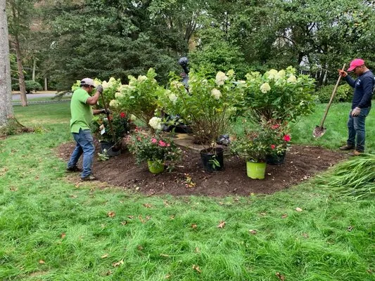 Payes Landscaping And Service Logo