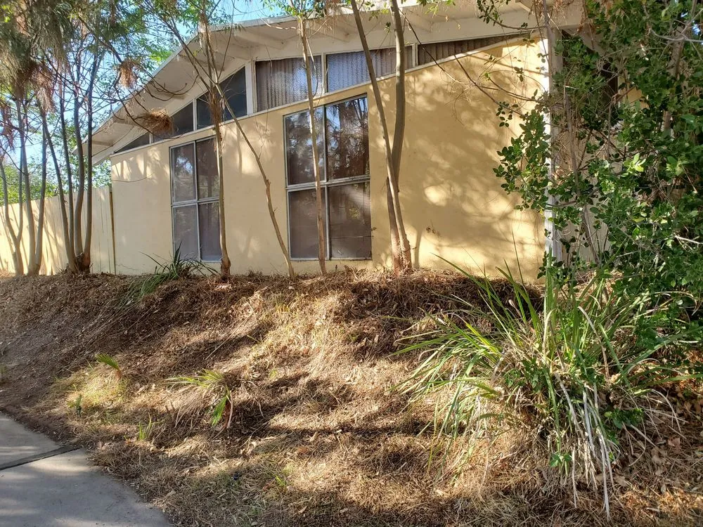 Reliable yard cleanup service near you in Pasadena, CA by Payless Tree Care