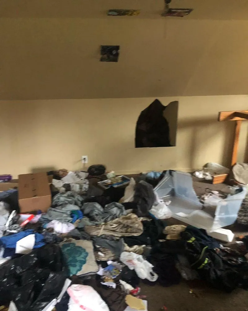 Custom lawn care service experts serving Cleveland, OH - Payne and Sons