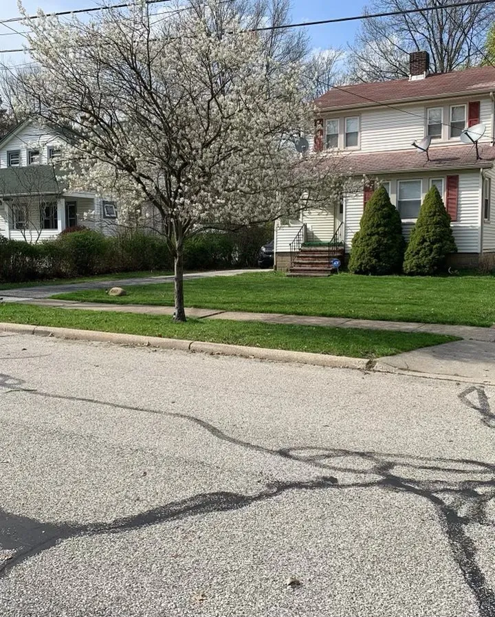 Local landscape design in Cleveland, OH by Payne and Sons