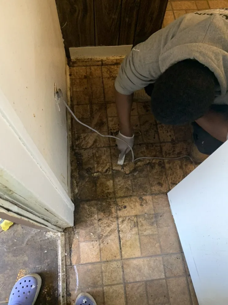 Local yard cleanup service in Cleveland, OH - Payne and Sons