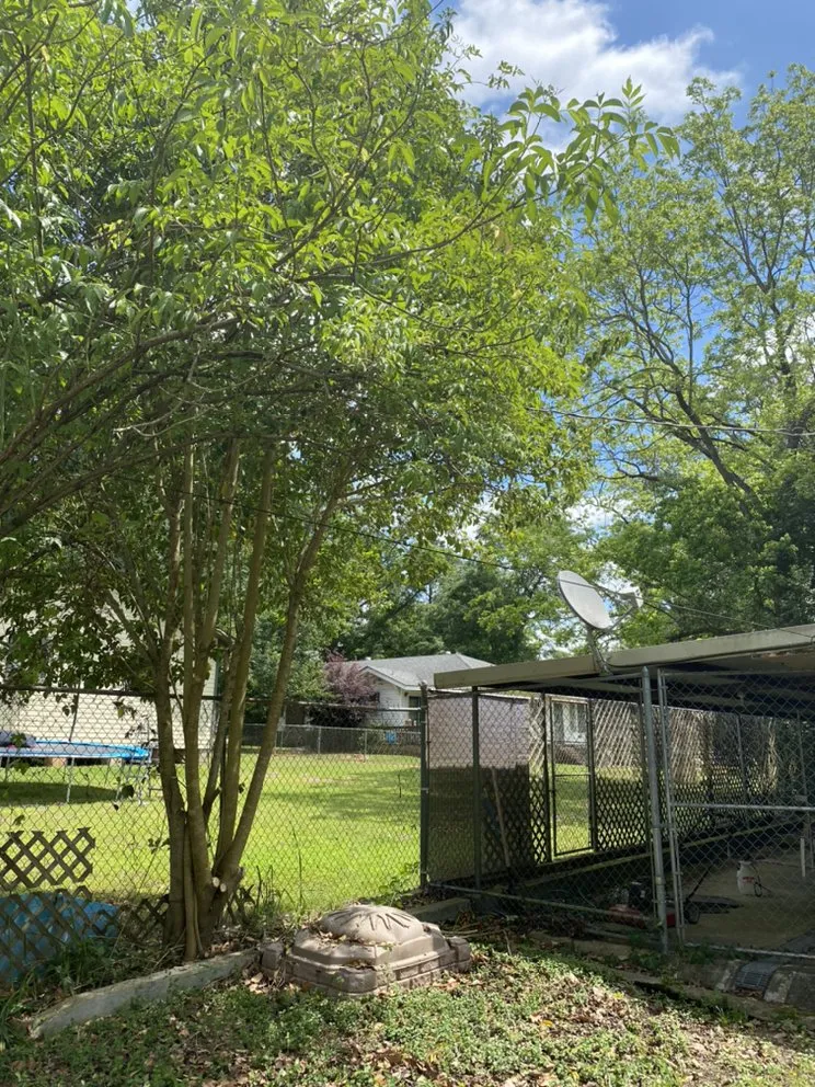 Top-rated landscaping services in Tylertown, MS by Payne In The Grass