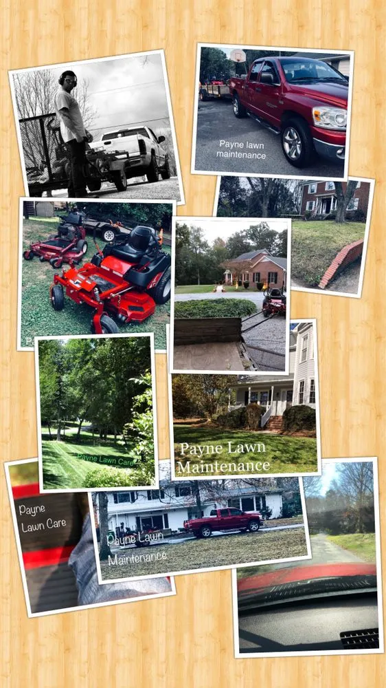 Custom yard cleanup service experts serving Kannapolis, NC - Payne Lawn Maintenance