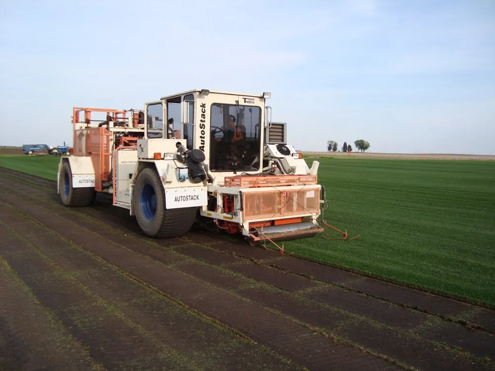 Expert lawn care service experts serving Manteno, IL - Payne Sod Farm