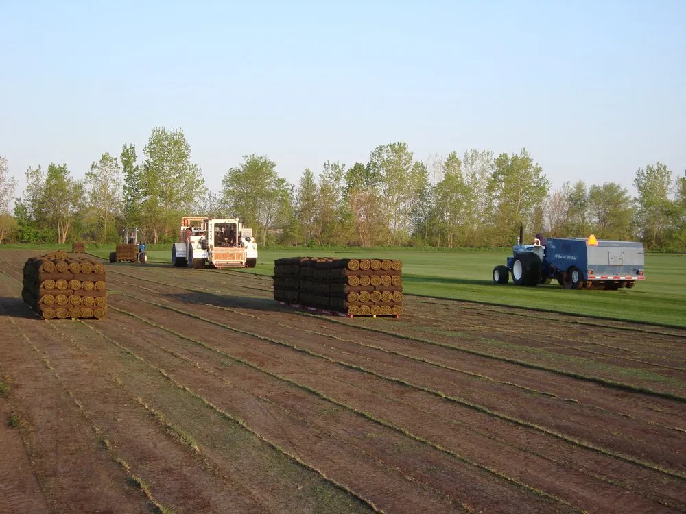 Professional garden landscaping in Manteno, IL - Payne Sod Farm