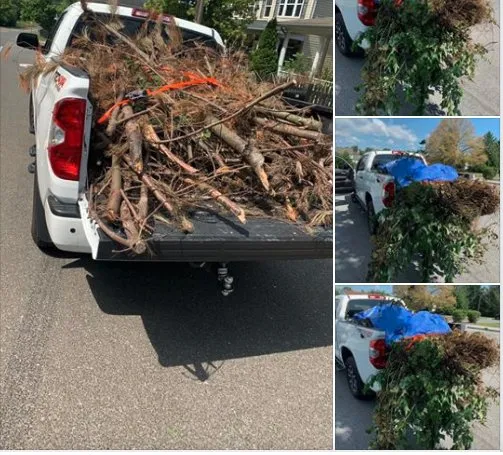 Custom residential landscaping in Winchester, VA - Payneless performance LLC