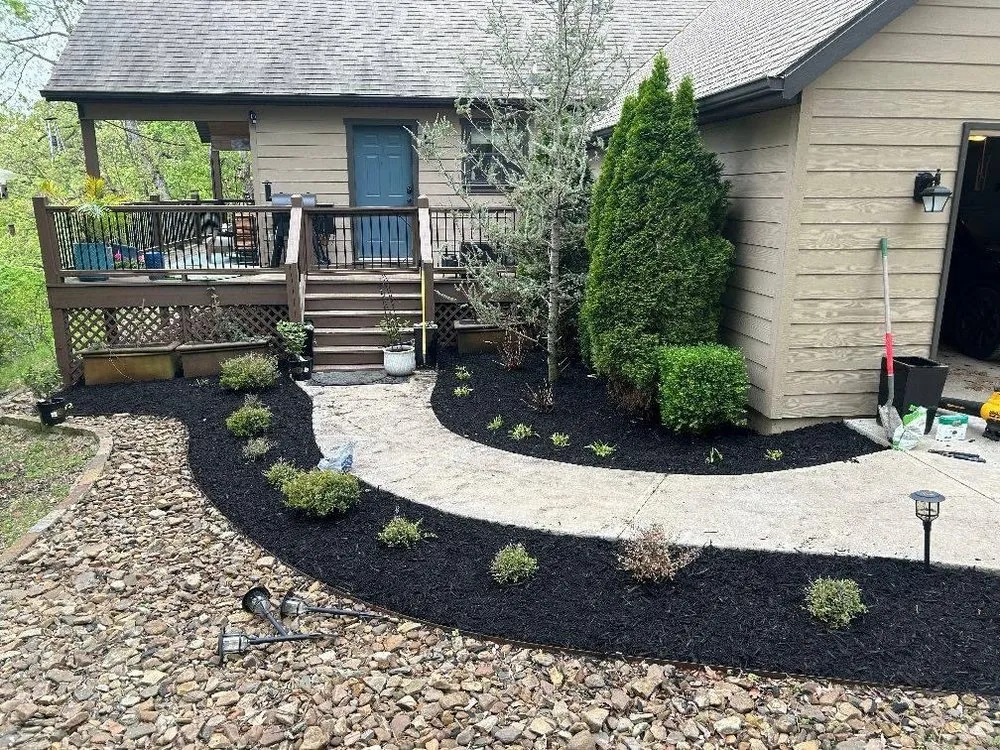 Trusted yard cleanup service in Green Forest, AR by Paynes Landscapes