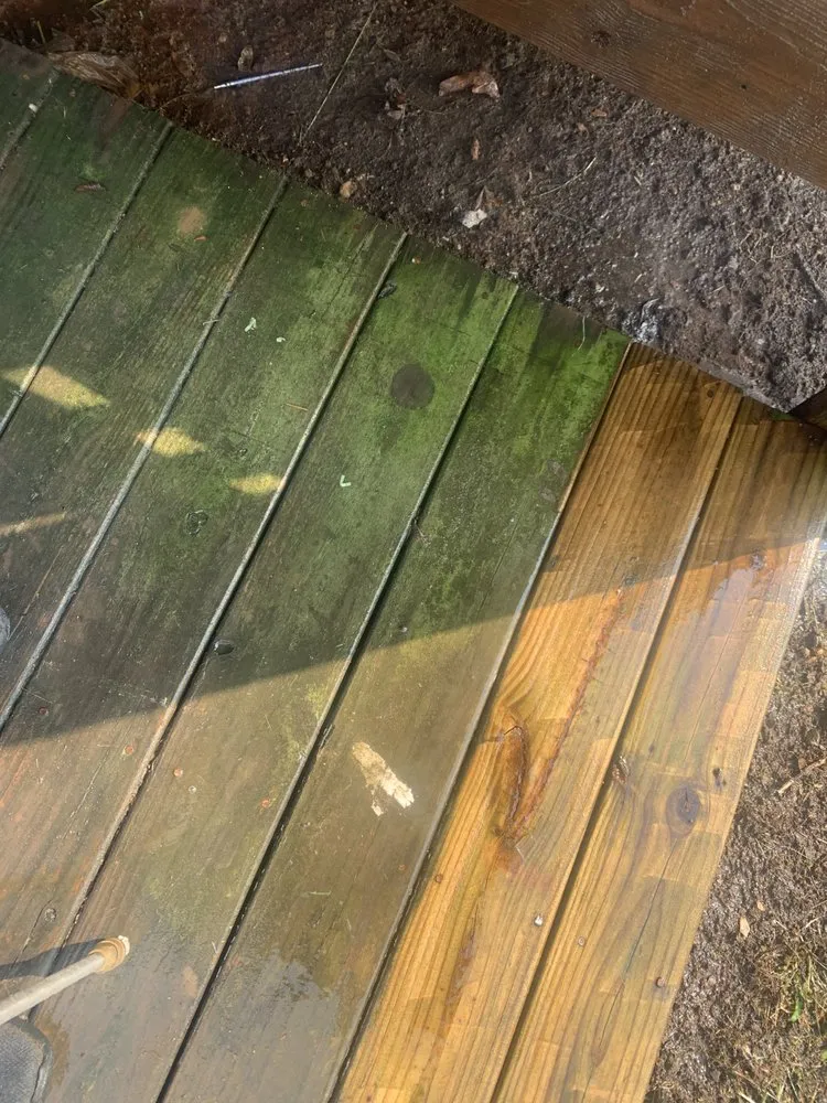 Reliable landscaping services experts serving Maryville, TN - Paynes Lawn Care