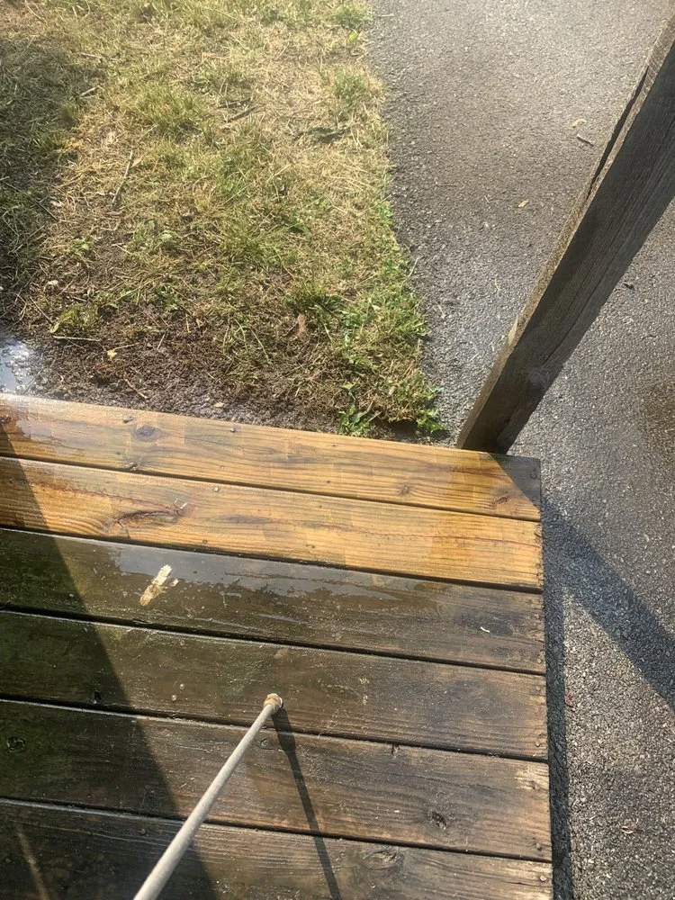 Professional yard cleanup service experts serving Maryville, TN - Paynes Lawn Care