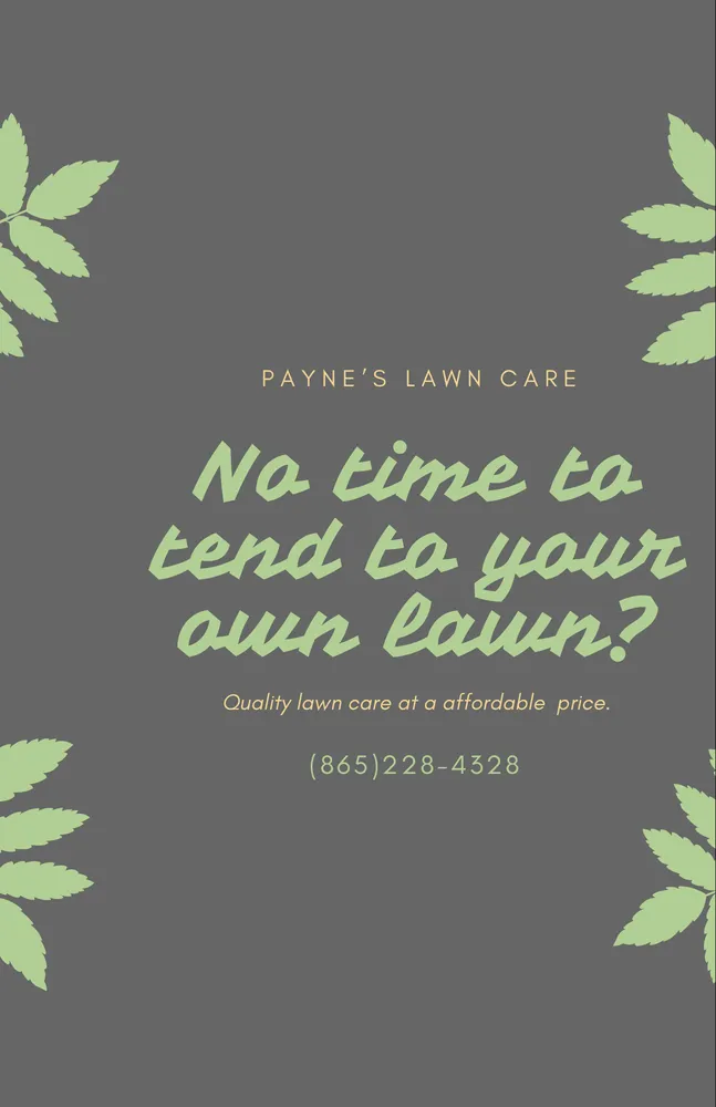 Reliable lawn mowing service experts serving Maryville, TN - Paynes Lawn Care