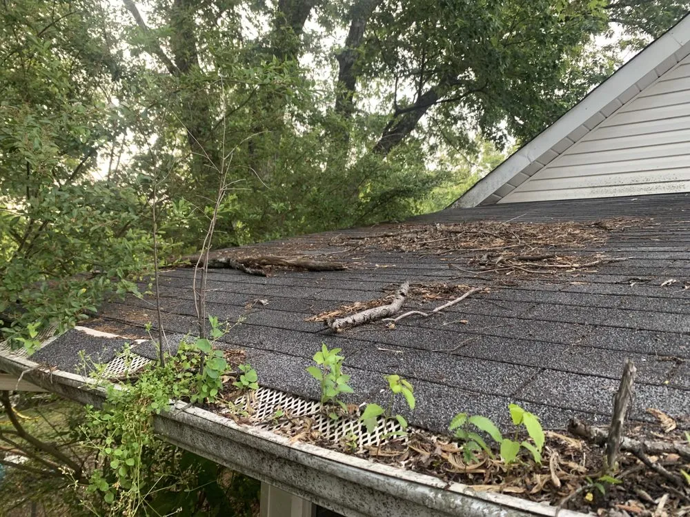 Trusted yard cleanup service near you in Maryville, TN by Paynes Lawn Care