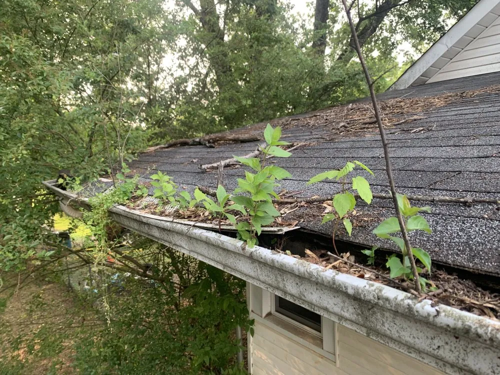 Trusted landscape design in Maryville, TN - Paynes Lawn Care