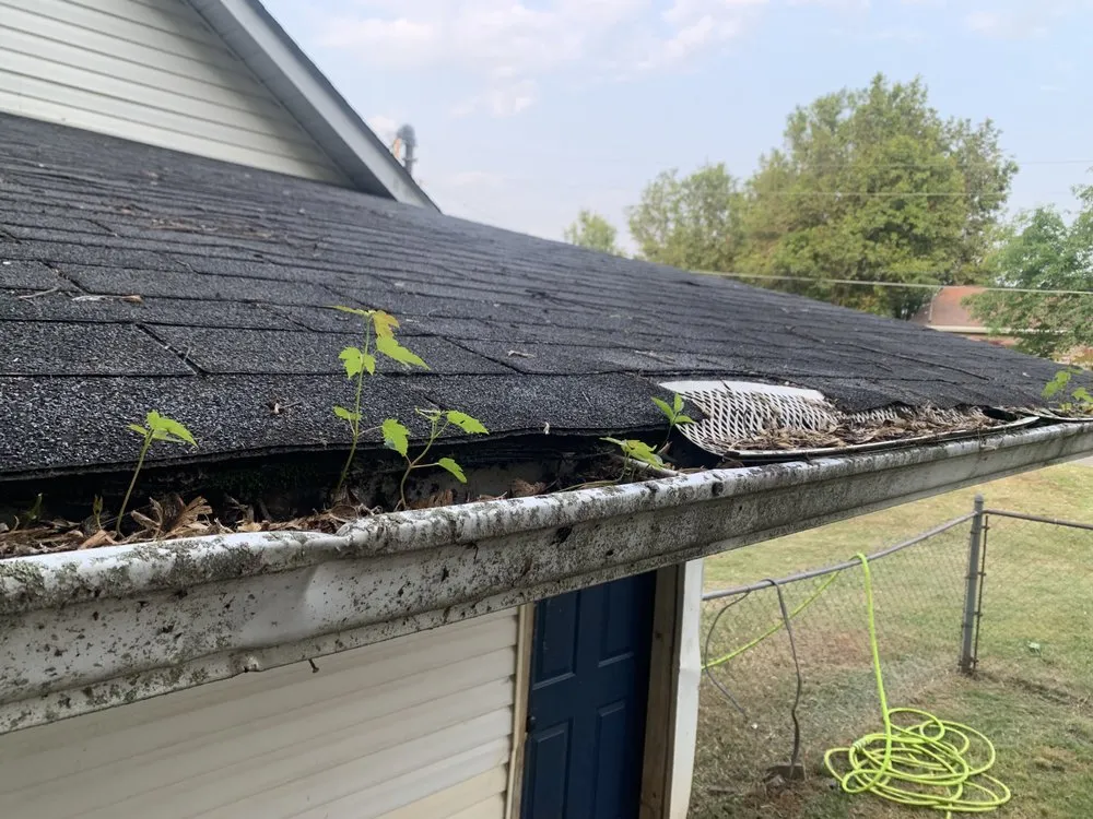 Reliable landscaping services in Maryville, TN by Paynes Lawn Care