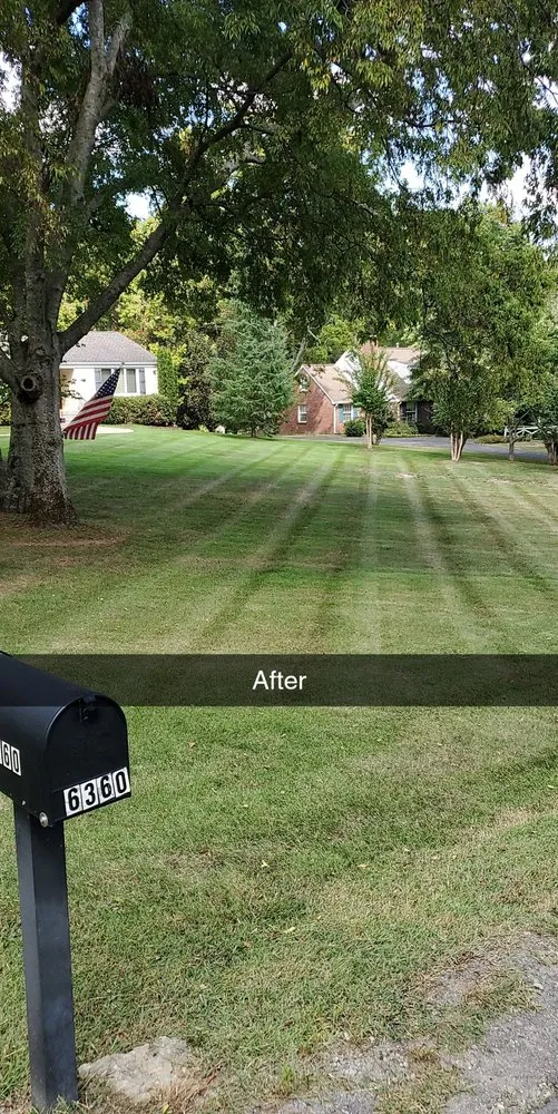Affordable yard cleanup service experts serving Portland, TN - Payne’s Lawn Care