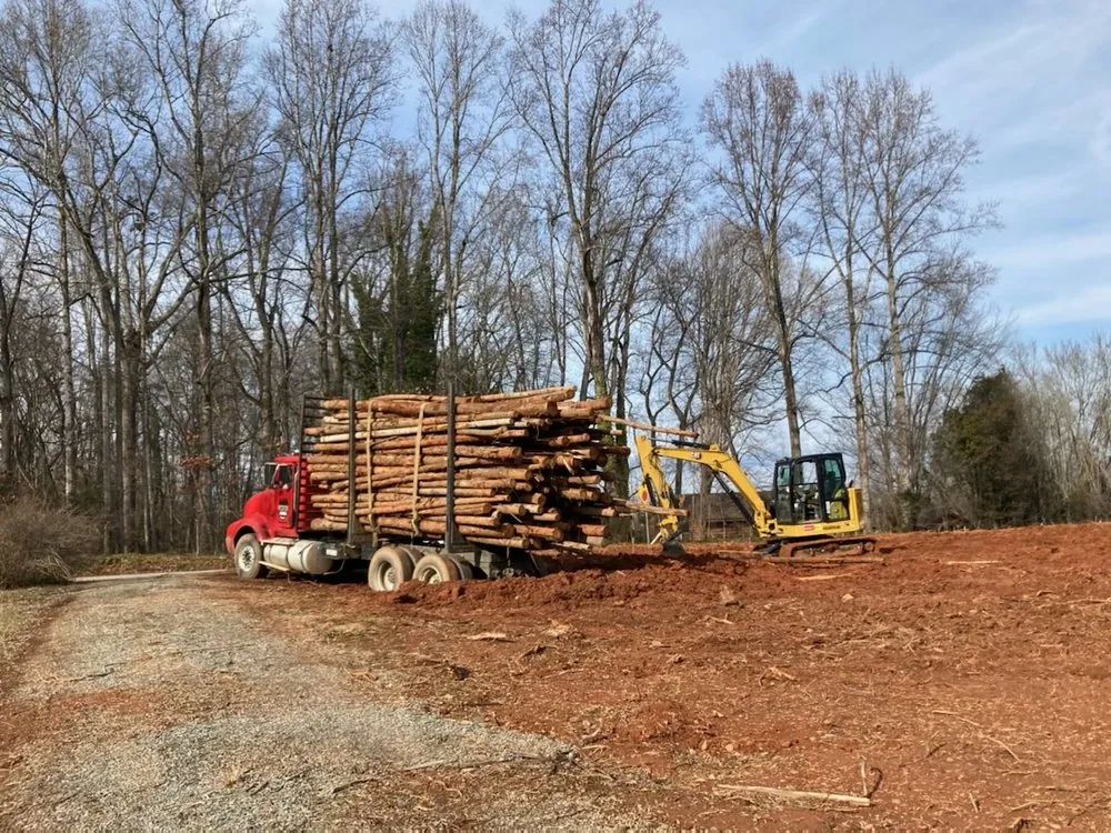 Local garden landscaping experts serving Mount Airy, NC - Payne's Stump & Tree Removal