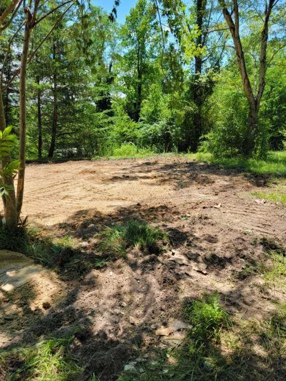 Custom yard cleanup service for outdoor upgrades in Mount Airy, NC by Payne's Stump & Tree Removal