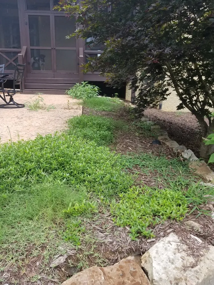 Local yard cleanup service experts serving Powder Springs, GA - Payson Garden Consulting