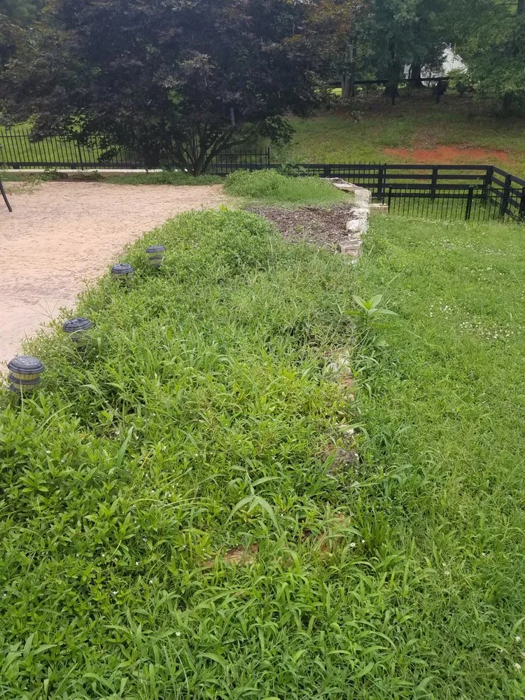 Reliable lawn care service in Powder Springs, GA by Payson Garden Consulting