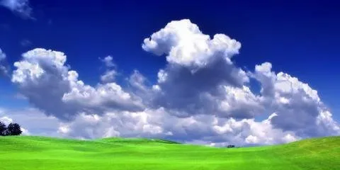 Trusted residential landscaping for year-round maintenance in Wentzville, MO by Payton Place Lawn Care