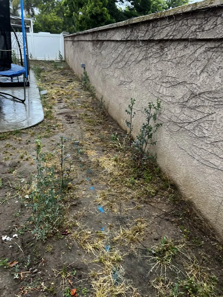 Trusted residential landscaping for outdoor upgrades in Riverside, CA by Paz Landscape and Concrete