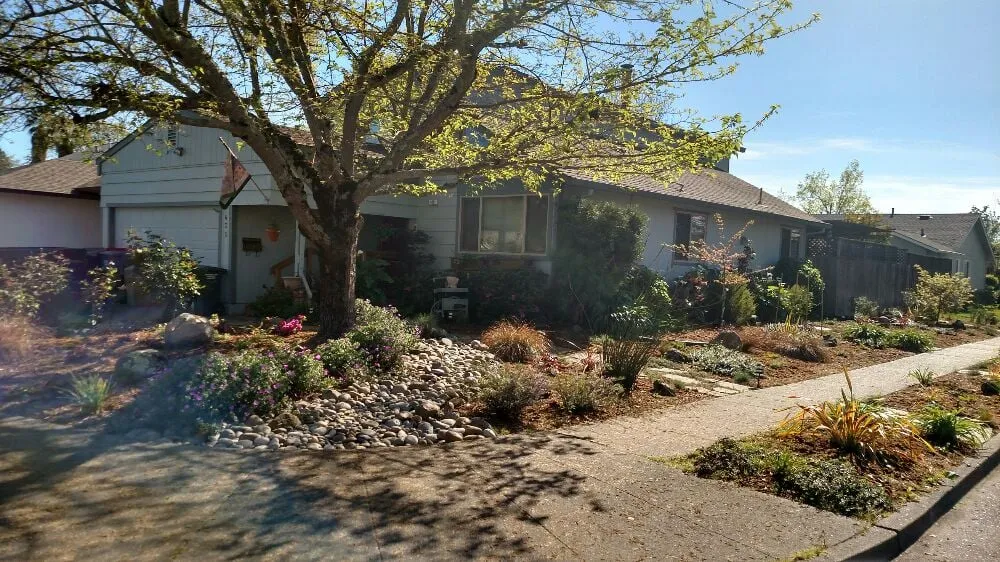 Trusted lawn mowing service in Sonoma, CA by Paz Landscape