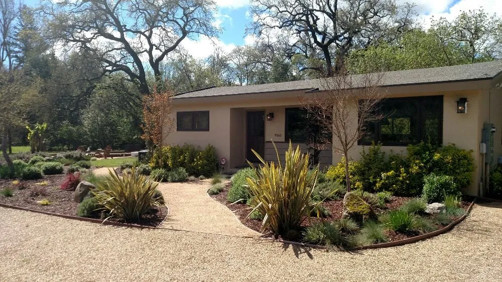 Affordable yard cleanup service in Sonoma, CA by Paz Landscape