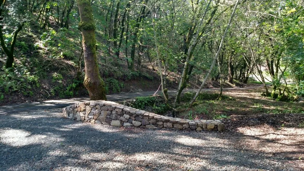 Affordable outdoor landscaping for outdoor upgrades in Sonoma, CA by Paz Landscape