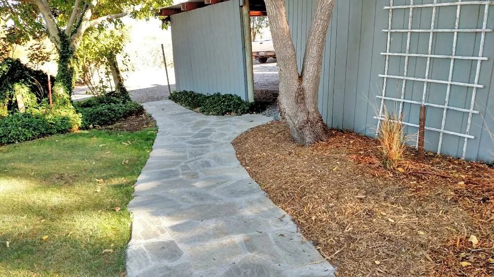 Reliable yard maintenance in Sonoma, CA - Paz Landscape