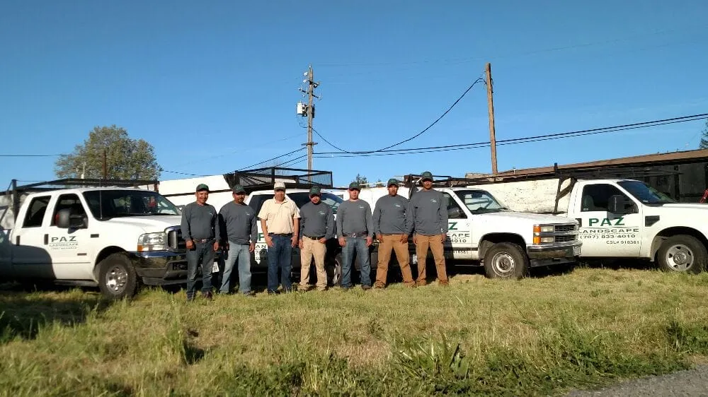 Expert residential landscaping in Sonoma, CA by Paz Landscape