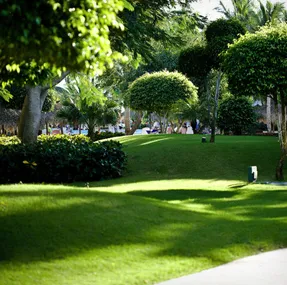 Expert yard maintenance near you in Sonoma, CA by Paz Landscape