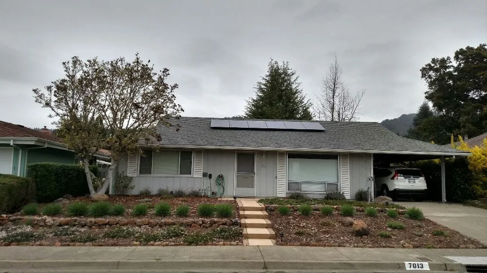 Trusted yard cleanup service for residential properties across Sonoma, CA - Paz Landscape