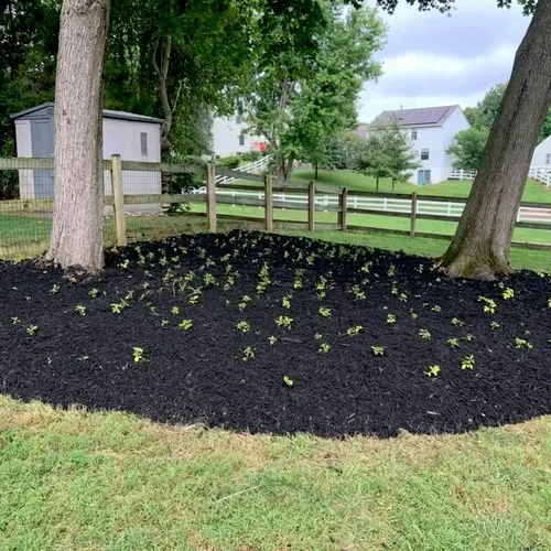 Expert landscaping services experts serving Germantown, MD - Paz Landscaping