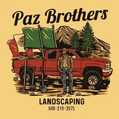 Pazbrothers Landscape