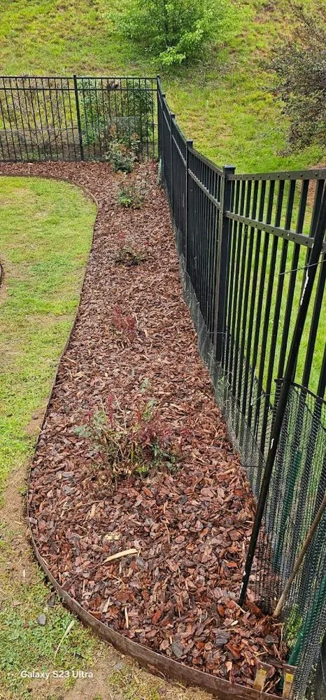 Reliable lawn mowing service in Clemmons, NC - Pazcual Lugo