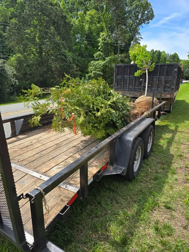 Custom yard cleanup service for residential properties across Clemmons, NC - Pazcual Lugo