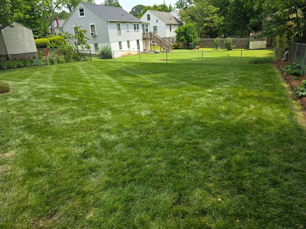 Reliable outdoor landscaping for residential properties across Clemmons, NC - Pazcual Lugo