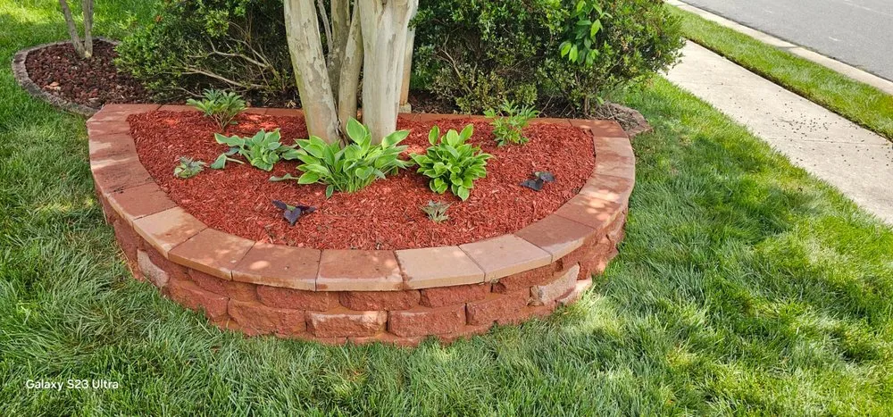 Custom yard cleanup service experts serving Clemmons, NC - Pazcual Lugo