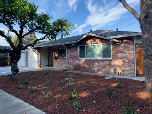 Professional yard cleanup service experts serving Los Altos, CA - Pazmany Bros. Landscaping