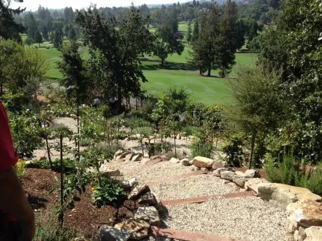 Local landscape design in Los Altos, CA - Pazmany Bros. Landscaping