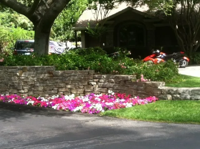 Trusted lawn mowing service in Los Altos, CA by Pazmany Bros. Landscaping