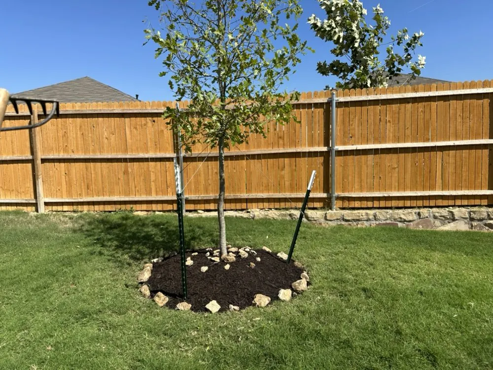 Professional residential landscaping in Fort Worth, TX by Paz’s Cuts & edges