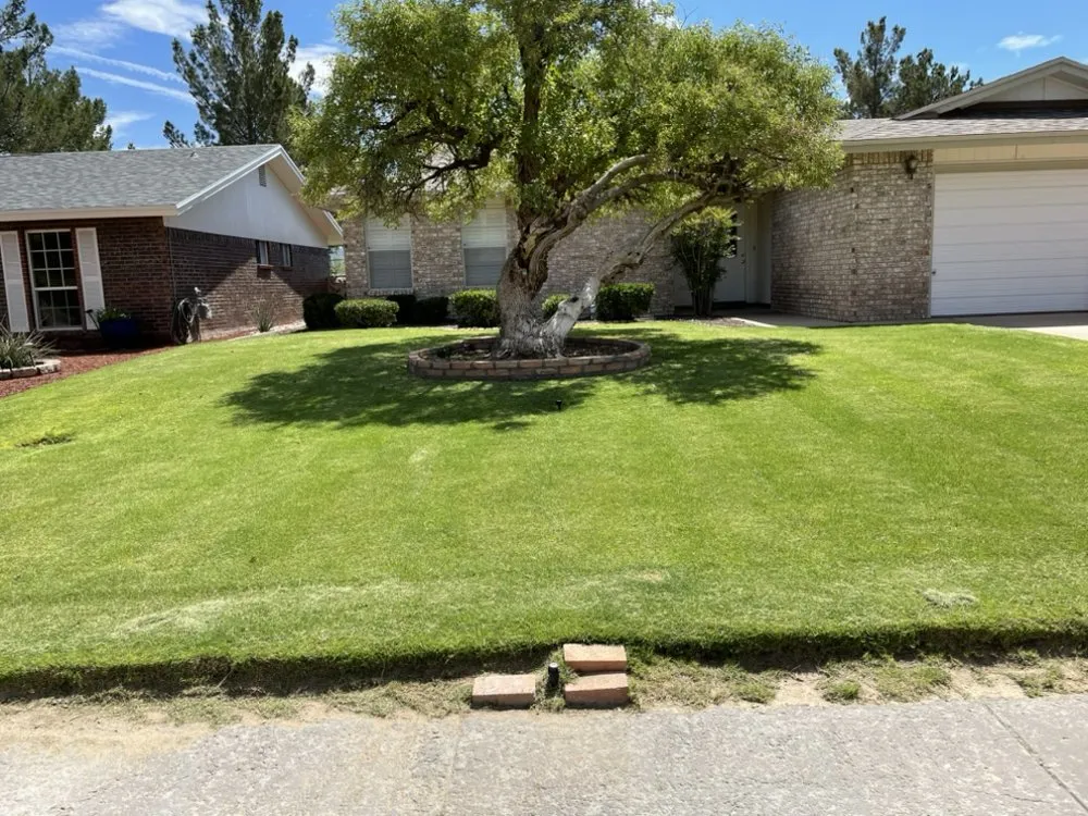 Affordable landscape installation in Fort Worth, TX - Paz’s Cuts & edges