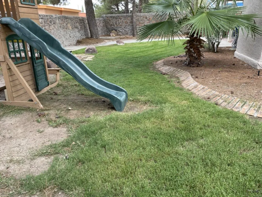 Trusted residential landscaping in Fort Worth, TX - Paz’s Cuts & edges