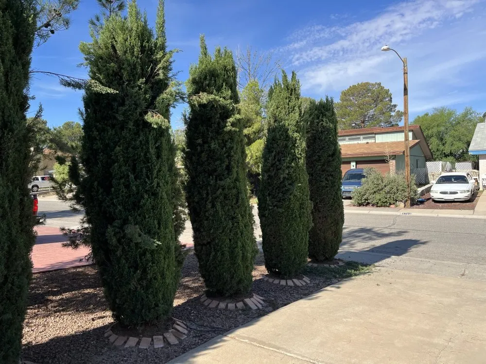 Trusted garden landscaping for residential properties in Fort Worth, TX by Paz’s Cuts & edges