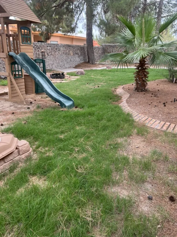Expert lawn mowing service experts serving Fort Worth, TX - Paz’s Cuts & edges