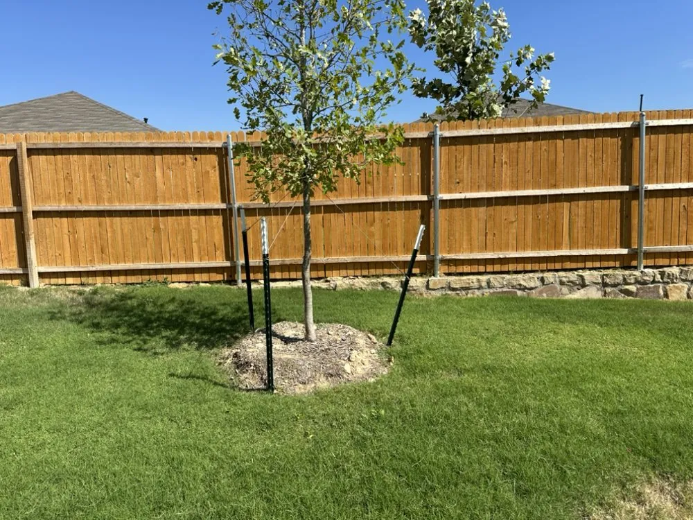 Local landscape installation in Fort Worth, TX by Paz’s Cuts & edges