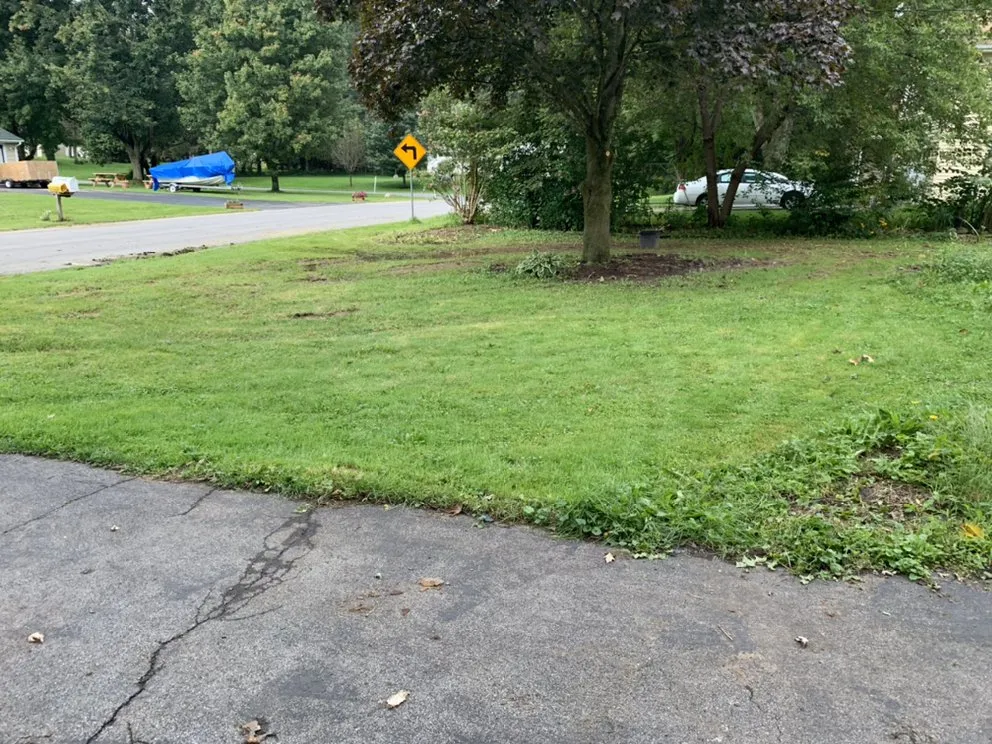 Affordable lawn mowing service in Rome, NY - Pb & Son Landscaping