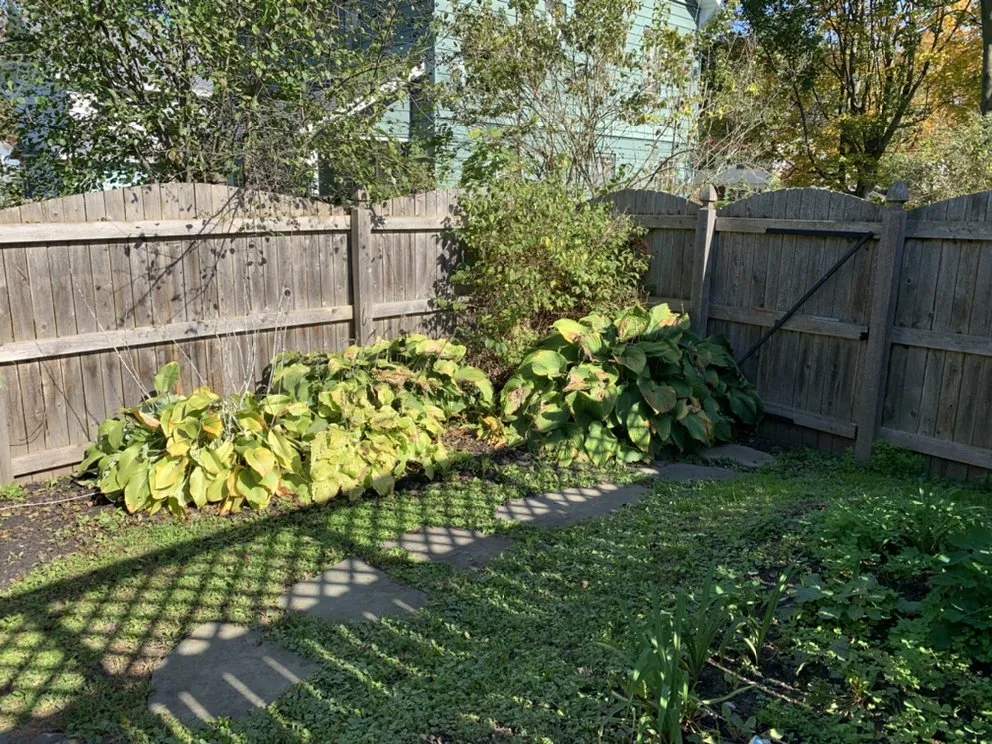 Top-rated lawn care service for outdoor upgrades in Rome, NY by Pb & Son Landscaping