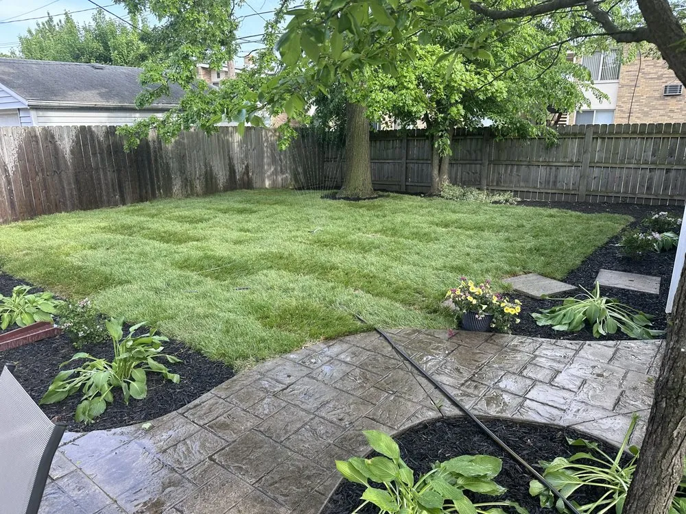 Custom yard cleanup service for beautiful yards in Lincoln Park, MI by PB Brandai Landscaping